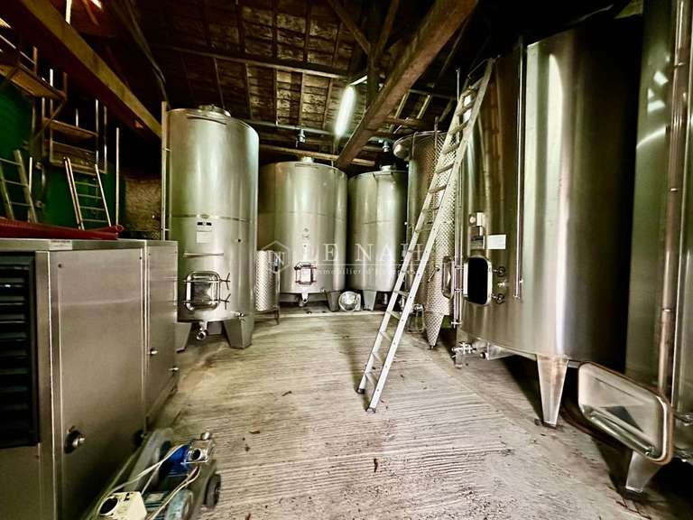 Domaine viticole Bergerac - 3 chambres - 120m²