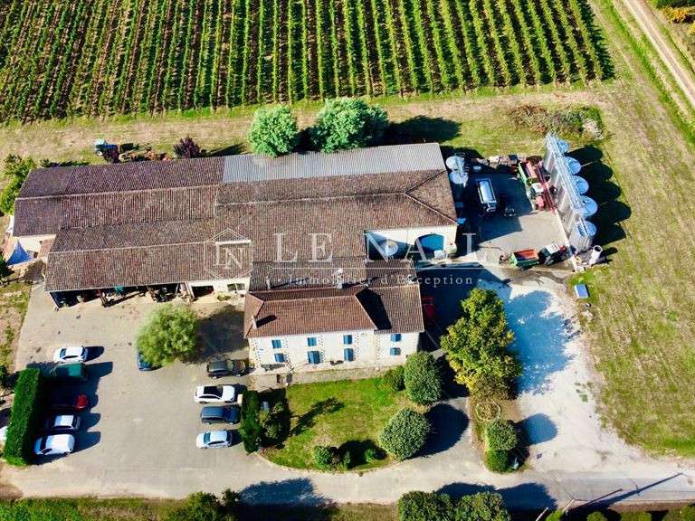 Domaine viticole Bergerac - 5 chambres - 270m²