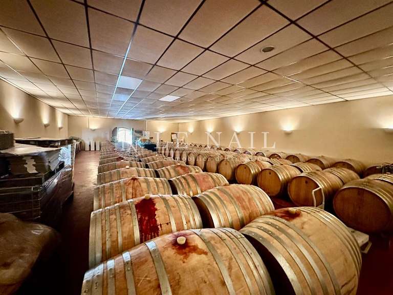 Domaine viticole Bergerac - 5 chambres - 270m²