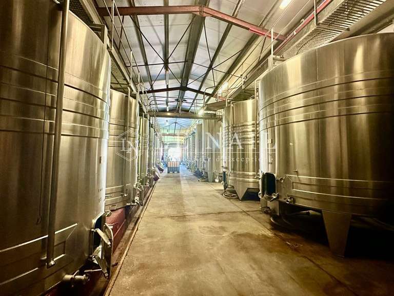 Domaine viticole Bergerac - 5 chambres - 270m²