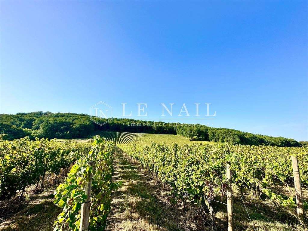 Domaine viticole Bergerac