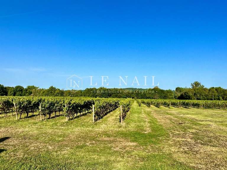 Domaine viticole Bergerac - 5 chambres - 270m²