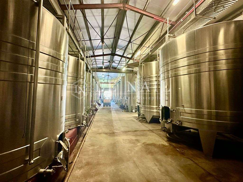 Domaine viticole Bergerac