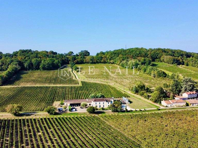 Domaine viticole Bergerac - 5 chambres - 270m²