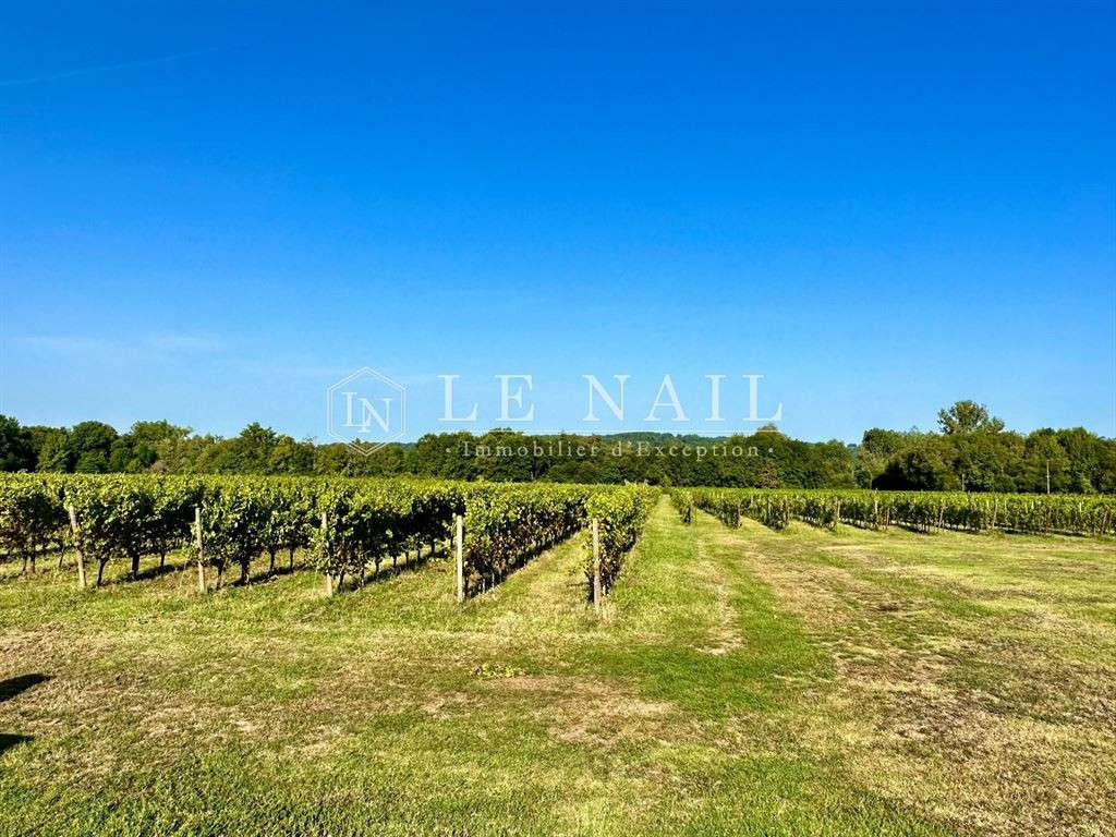 Domaine viticole Bergerac