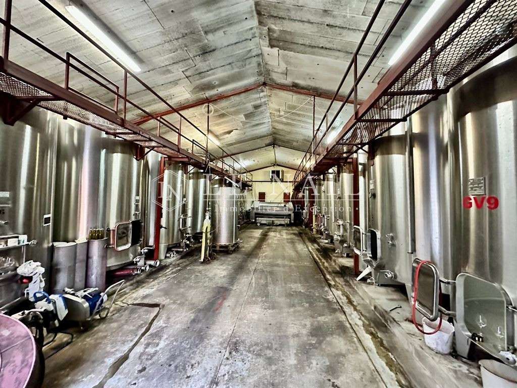 Domaine viticole Bergerac