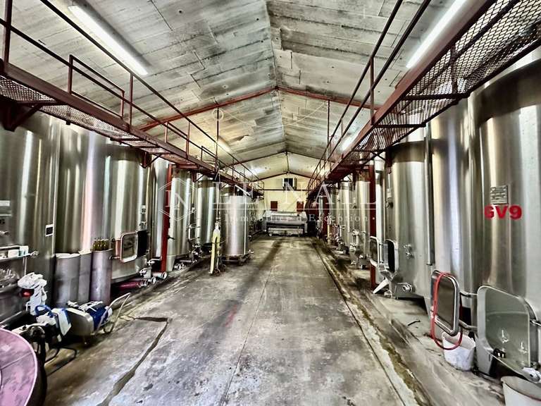 Domaine viticole Bergerac - 4 chambres - 200m²