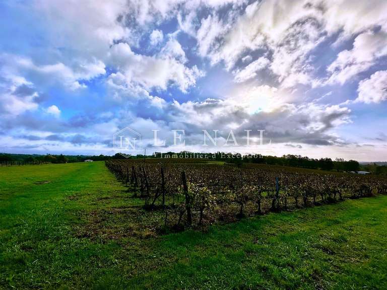 Domaine viticole Bergerac - 4 chambres - 200m²