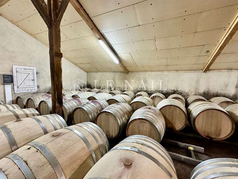 Domaine viticole Bergerac - 4 chambres - 200m²