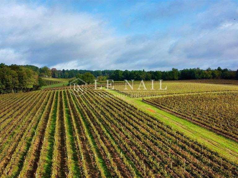 Domaine viticole Bergerac - 4 chambres - 200m²