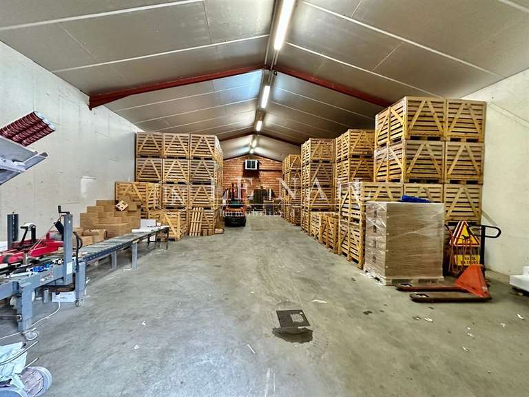 Domaine viticole Bergerac - 4 chambres - 200m²