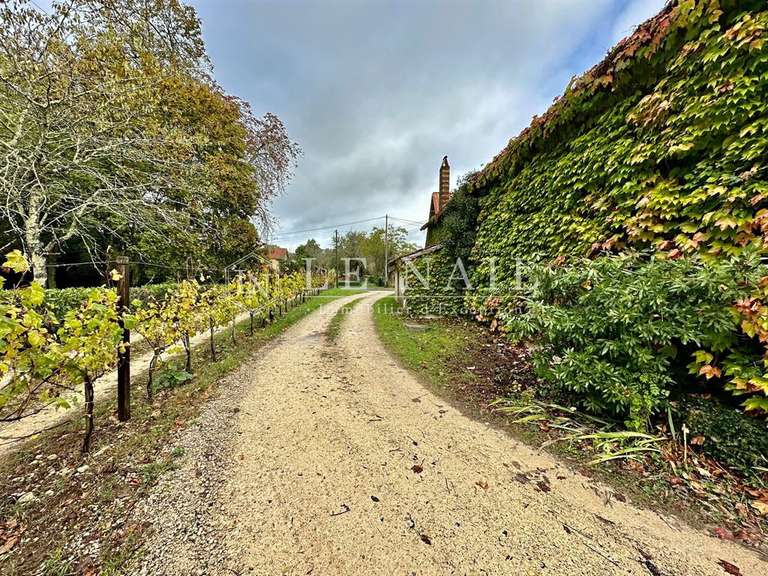 Domaine viticole Bergerac - 4 chambres - 200m²