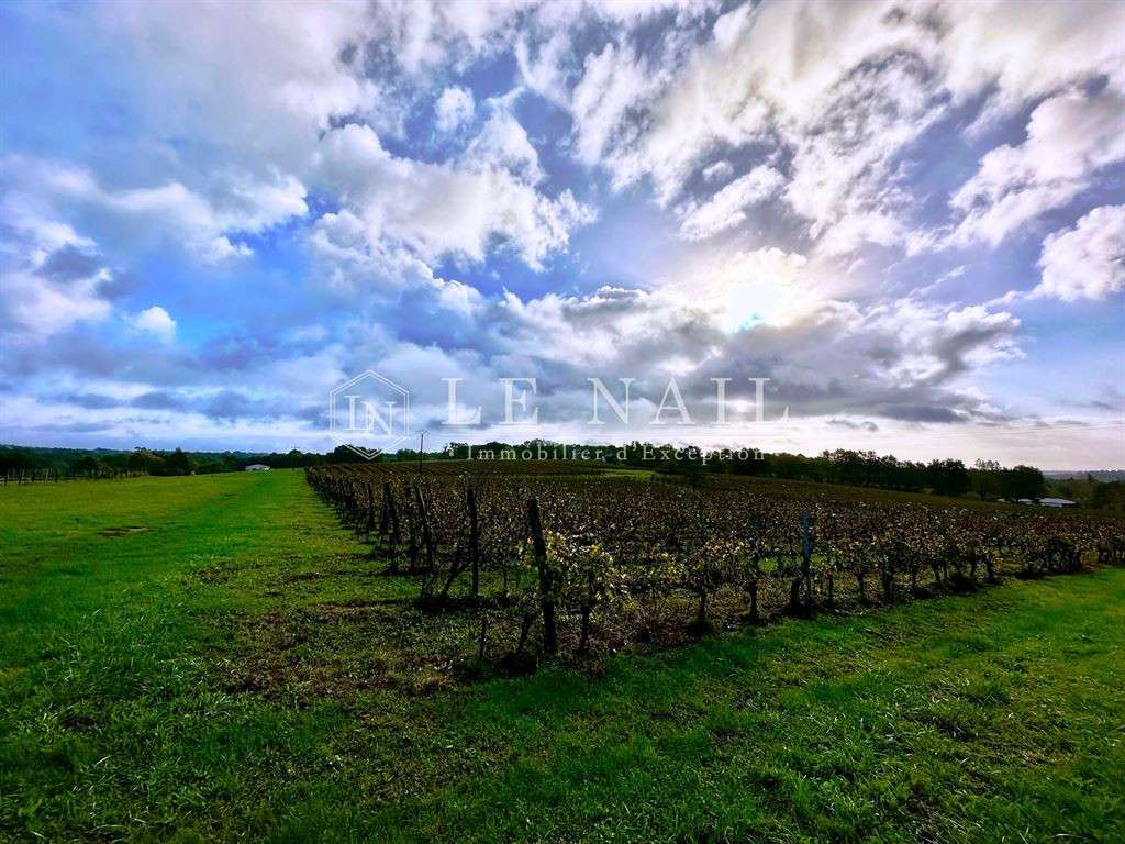 Domaine viticole Bergerac