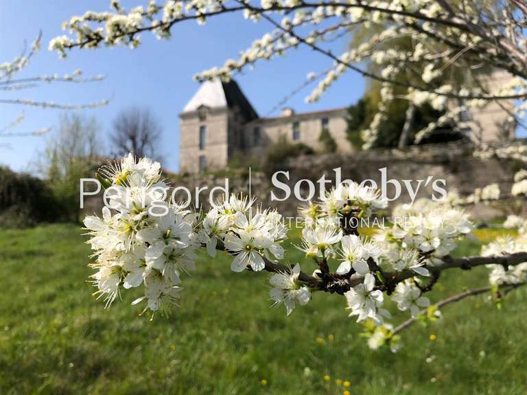 Maison Bergerac - 4 chambres - 440m²