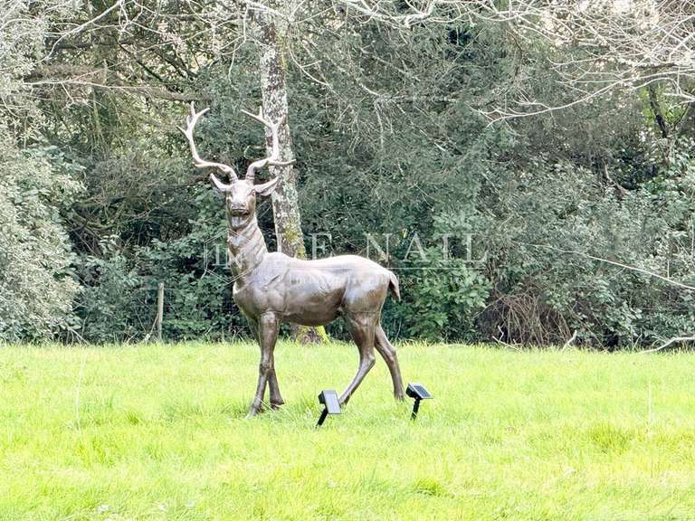 Maison Bergerac - 5 chambres - 360m²