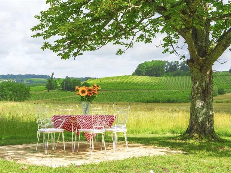 Manor Bergerac - 5 bedrooms - 340m²
