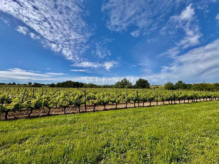 Propriété Bergerac - 9 chambres - 295m²