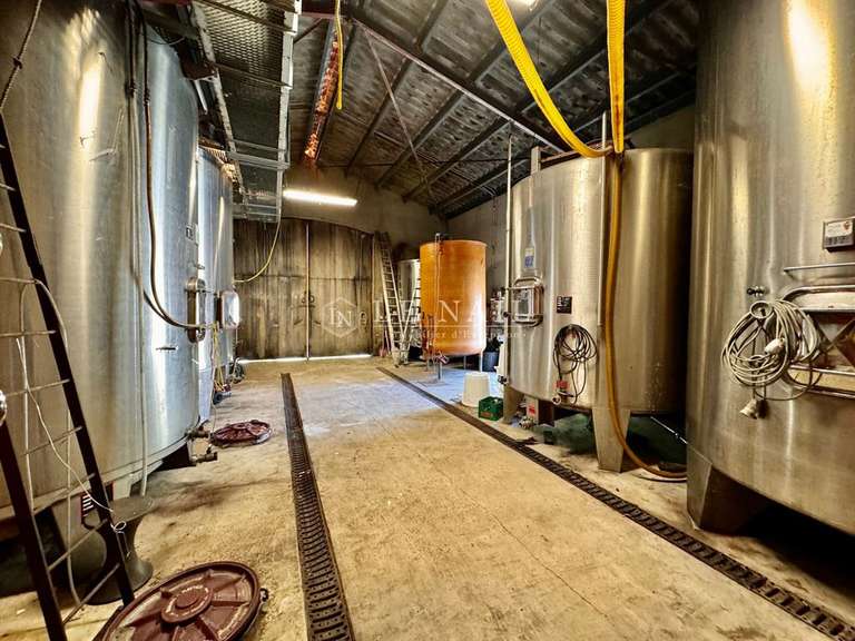 Property Bergerac - 9 bedrooms - 295m²