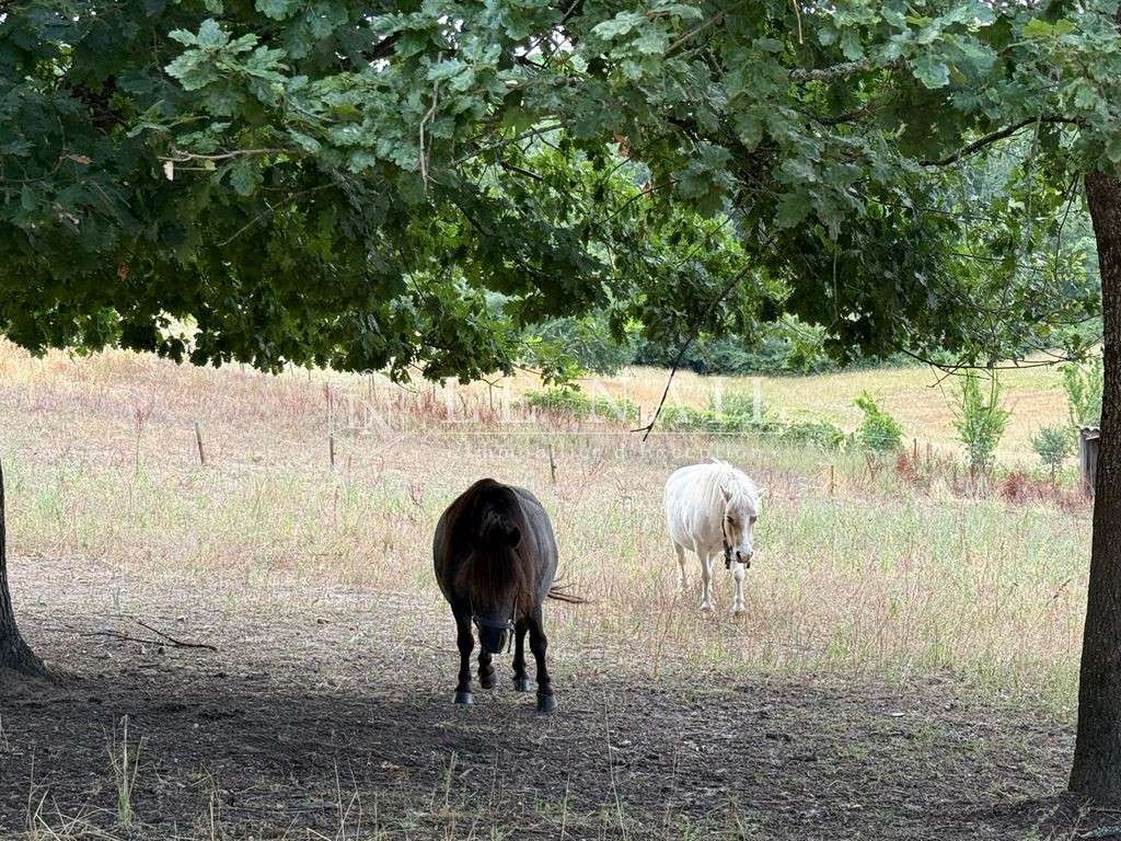 Propriété Bergerac