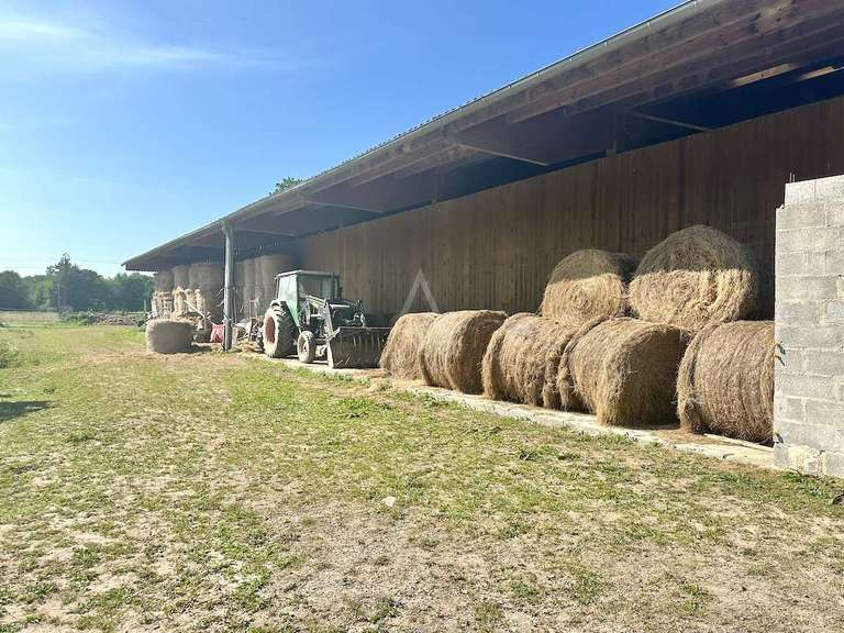 House Berjou - 5 bedrooms