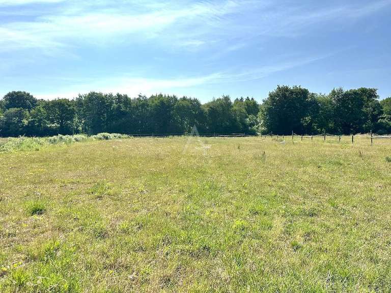 House Berjou - 5 bedrooms