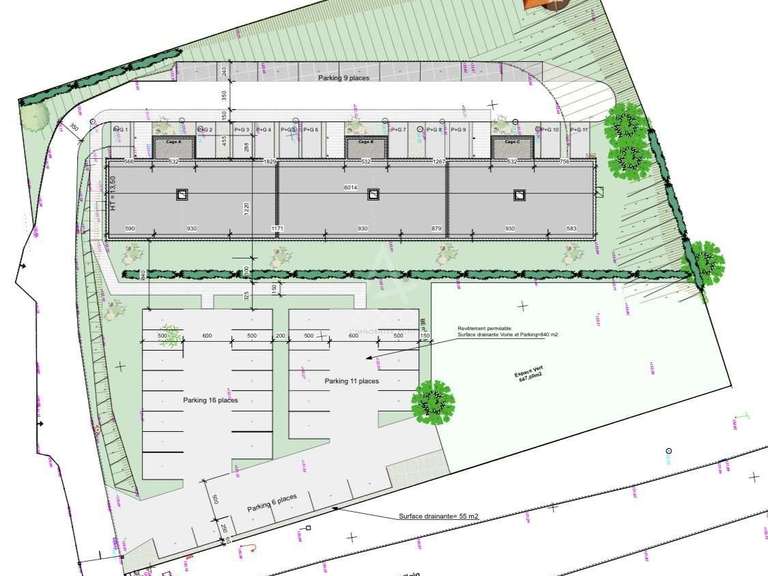 House Bernay
