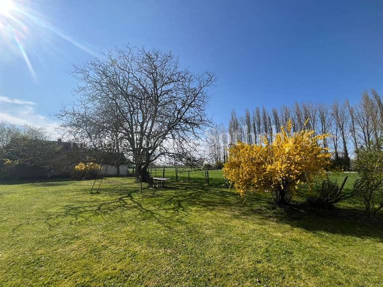 Maison Béthune - 4 chambres - 220m²