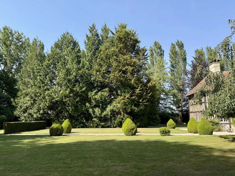 Maison Beuvron-en-Auge - 3 chambres - 180m²