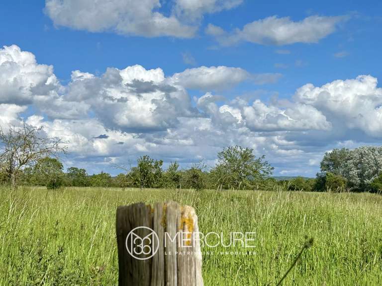 Manoir Beuvron-en-Auge - 6 chambres - 312m²