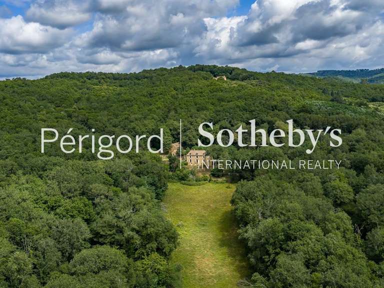 Maison Beynac-et-Cazenac - 5 chambres - 365m²