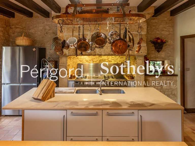 Maison Beynac-et-Cazenac - 7 chambres - 365m²