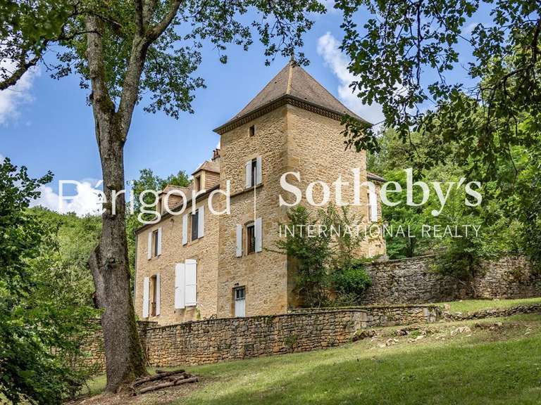 Maison Beynac-et-Cazenac - 5 chambres - 365m²