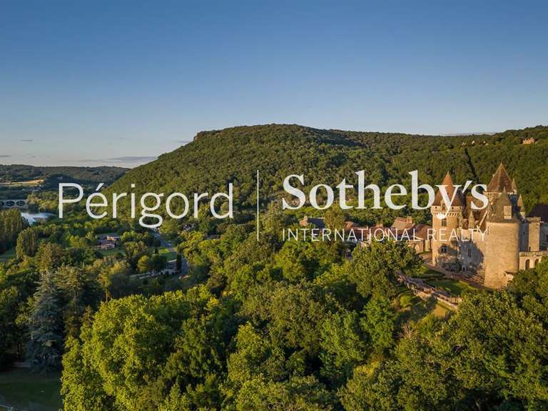 Maison Beynac-et-Cazenac - 5 chambres - 365m²