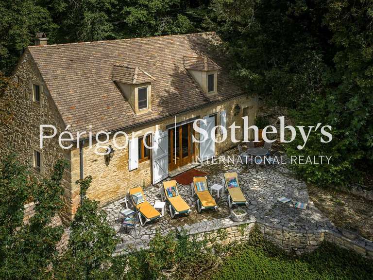 Maison Beynac-et-Cazenac - 5 chambres - 365m²