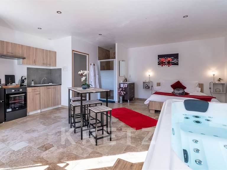 Maison Beynac-et-Cazenac - 10 chambres - 600m²