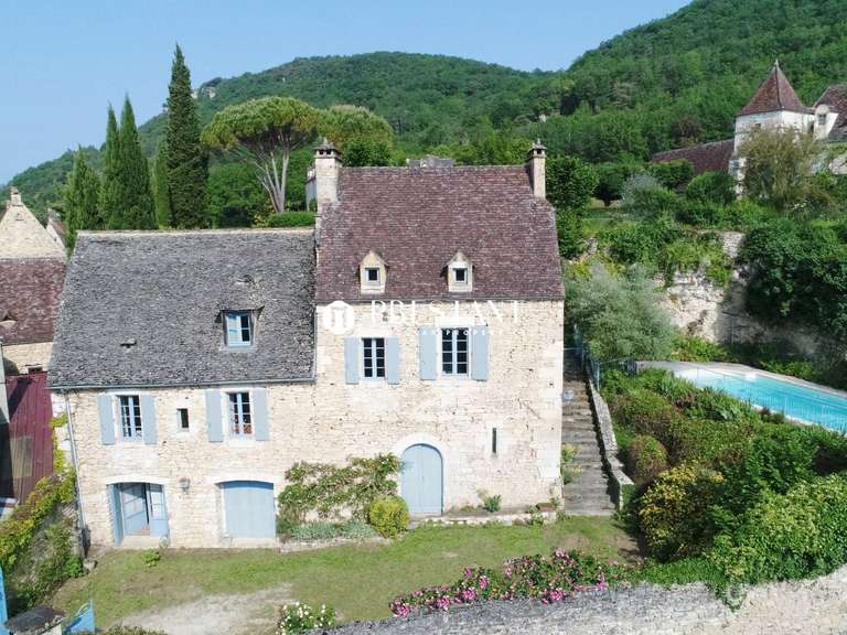 Maison Beynac-et-Cazenac - 5 chambres - 223m²