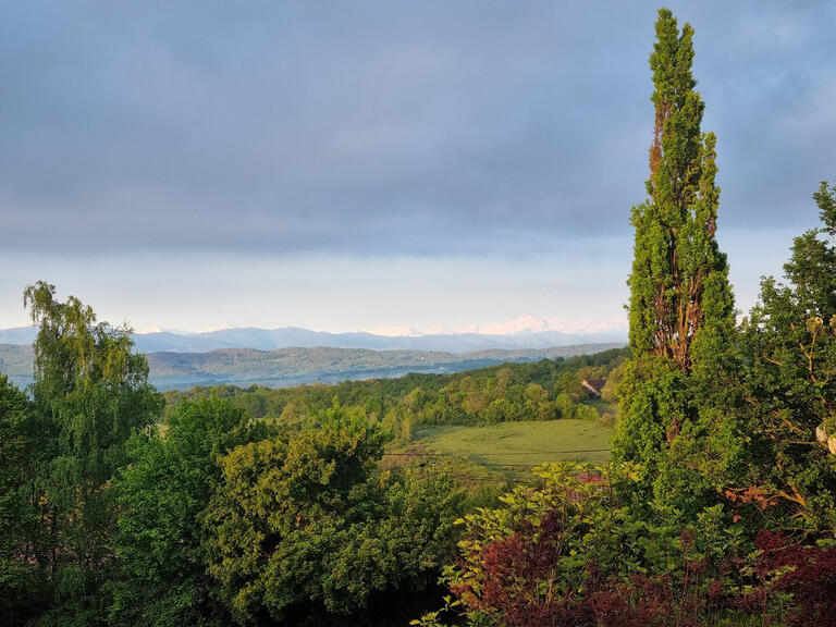 Maison Bézac - 5 chambres - 303m²