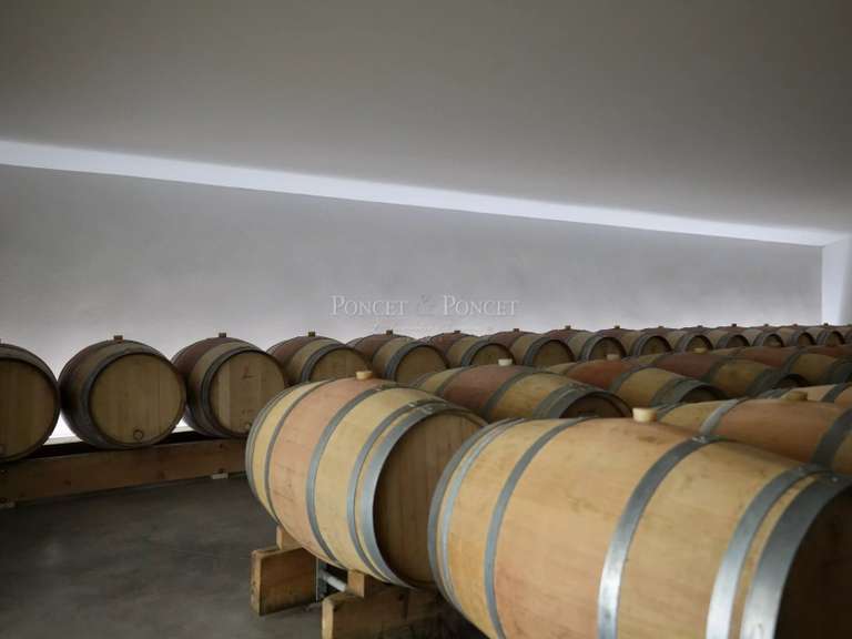 Vineyard Béziers - 880m²