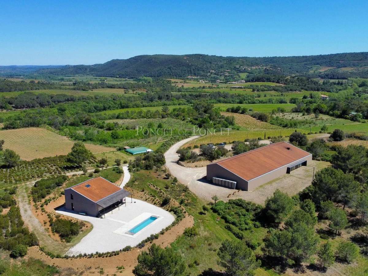 Vineyard Béziers