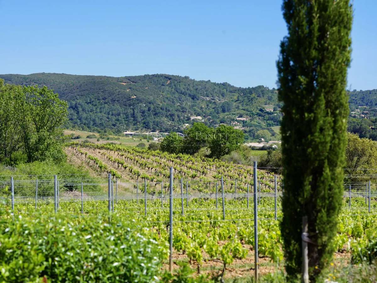 Vineyard Béziers