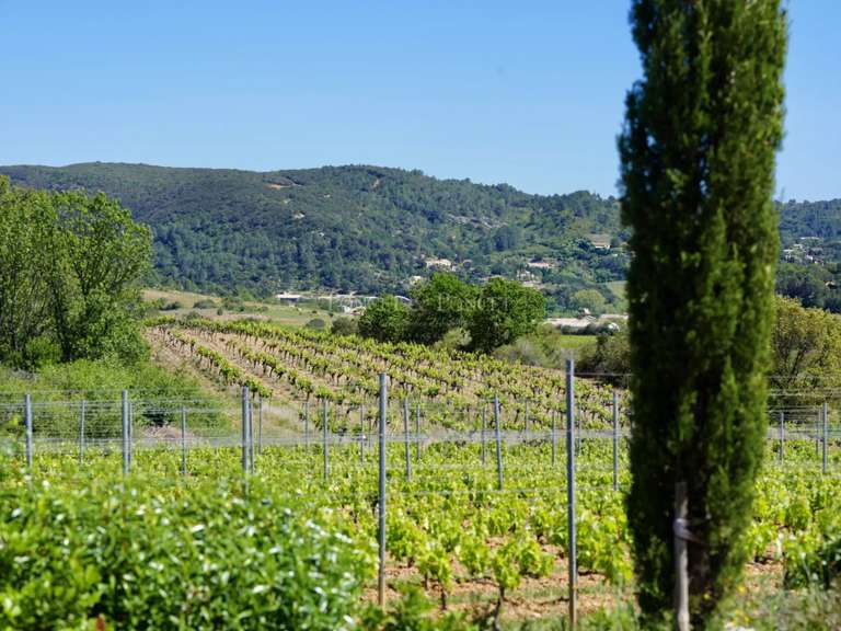 Vineyard Béziers - 880m²