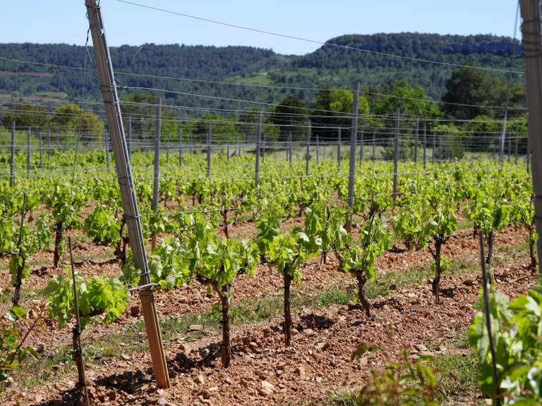 Domaine viticole Béziers - 880m²