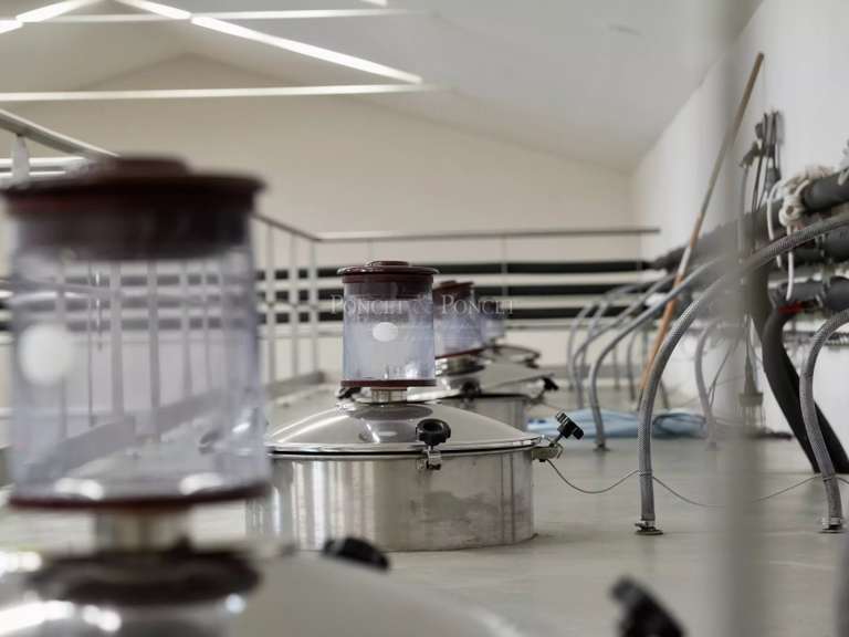 Domaine viticole Béziers - 880m²