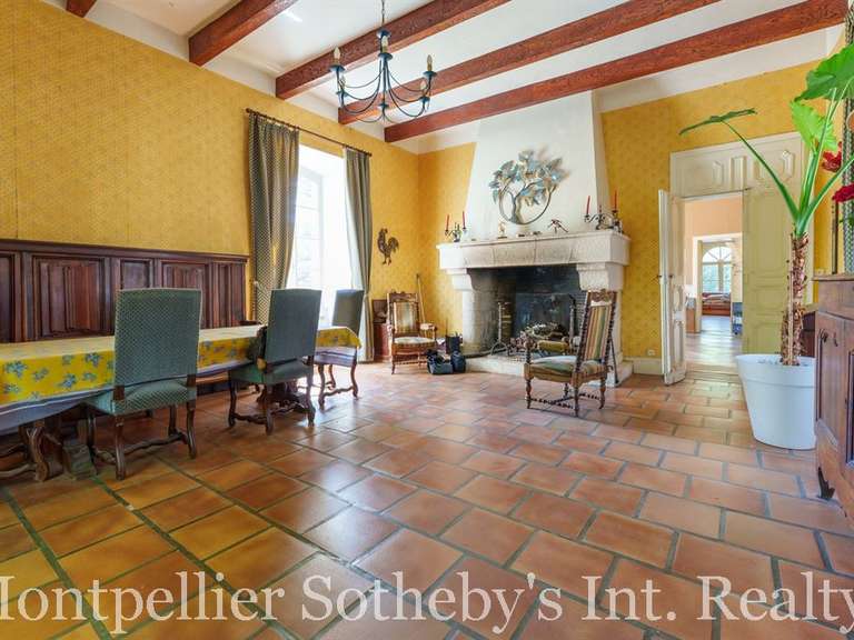 Domaine viticole Béziers - 5 chambres - 775m²
