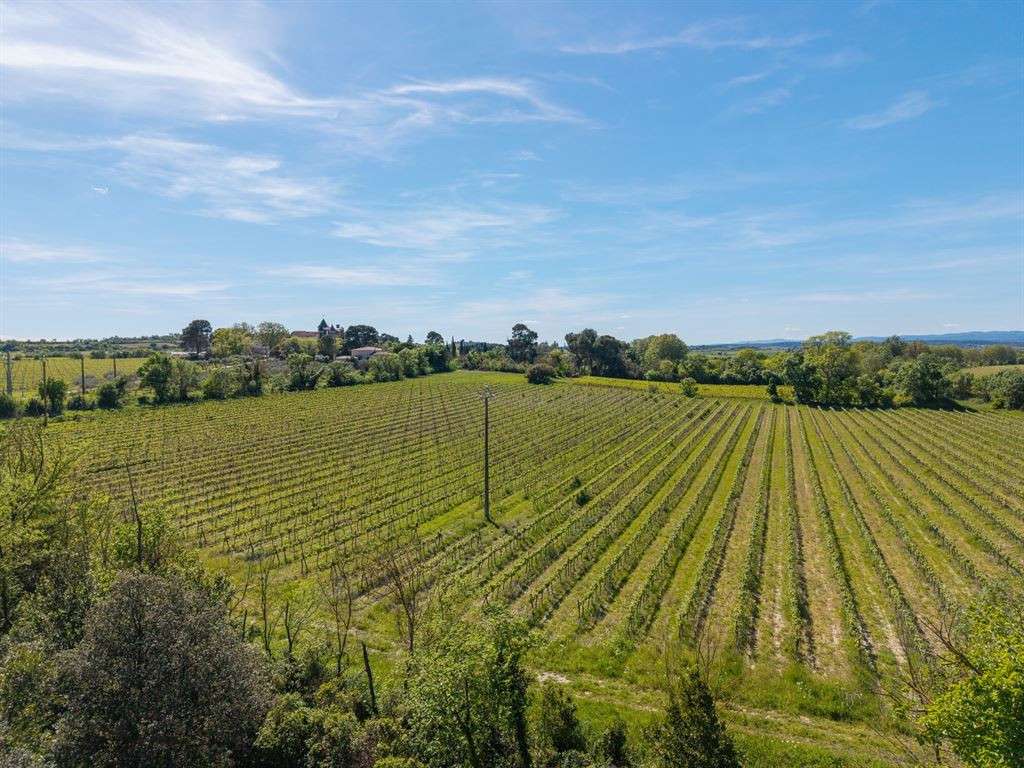 Domaine viticole Béziers
