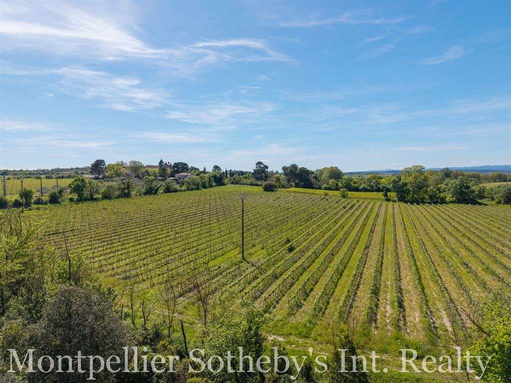 Domaine viticole Béziers