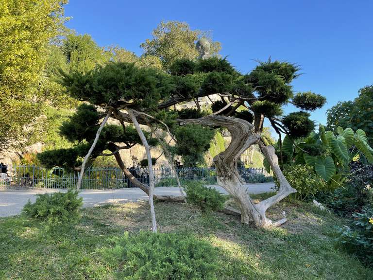 House Béziers - 520m²