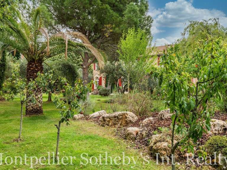 Maison Béziers - 4 chambres - 506m²
