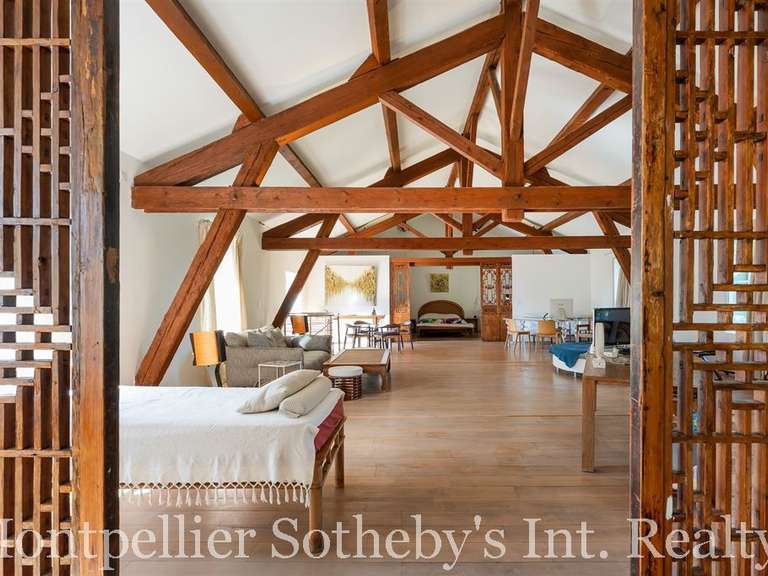 Maison Béziers - 4 chambres - 506m²