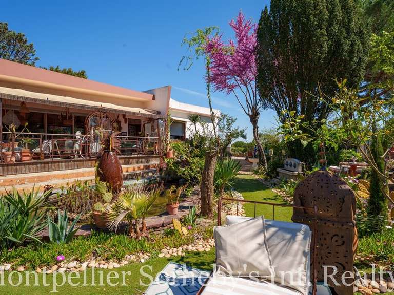 Maison Béziers - 4 chambres - 295m²